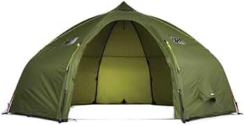 417L5+Tm3nL._AC_UF350,